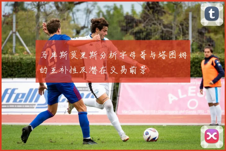 马库斯莫里斯分析字母哥与塔图姆的互补性及潜在交易前景